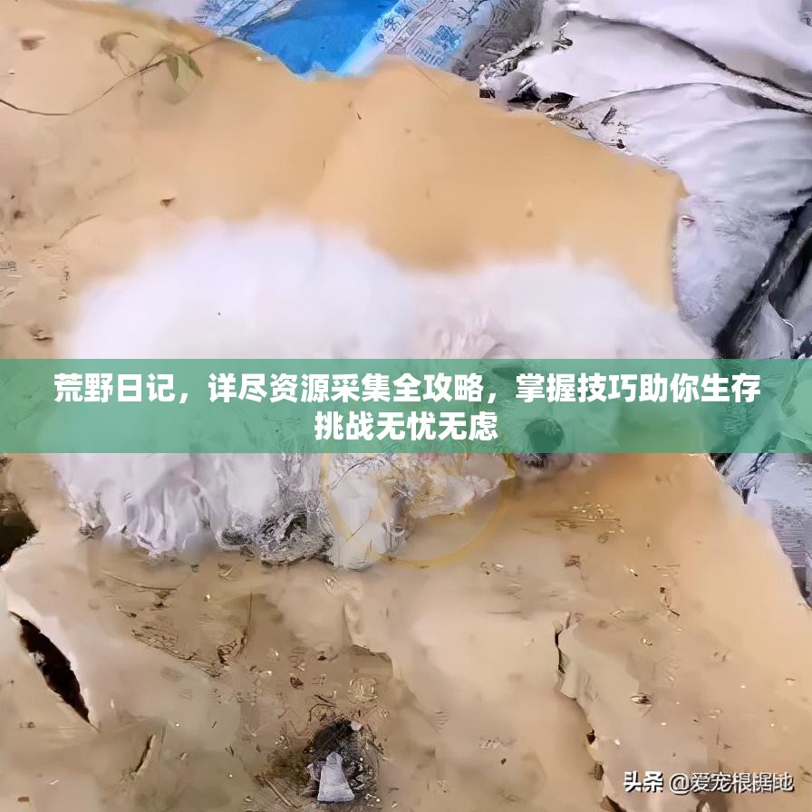 荒野日记，详尽资源采集全攻略，掌握技巧助你生存挑战无忧无虑