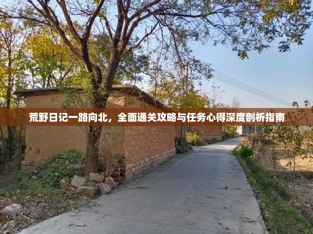 荒野日记一路向北，全面通关攻略与任务心得深度剖析指南