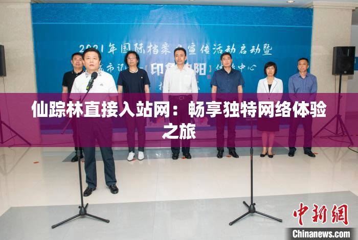 仙踪林直接入站网：畅享独特网络体验之旅