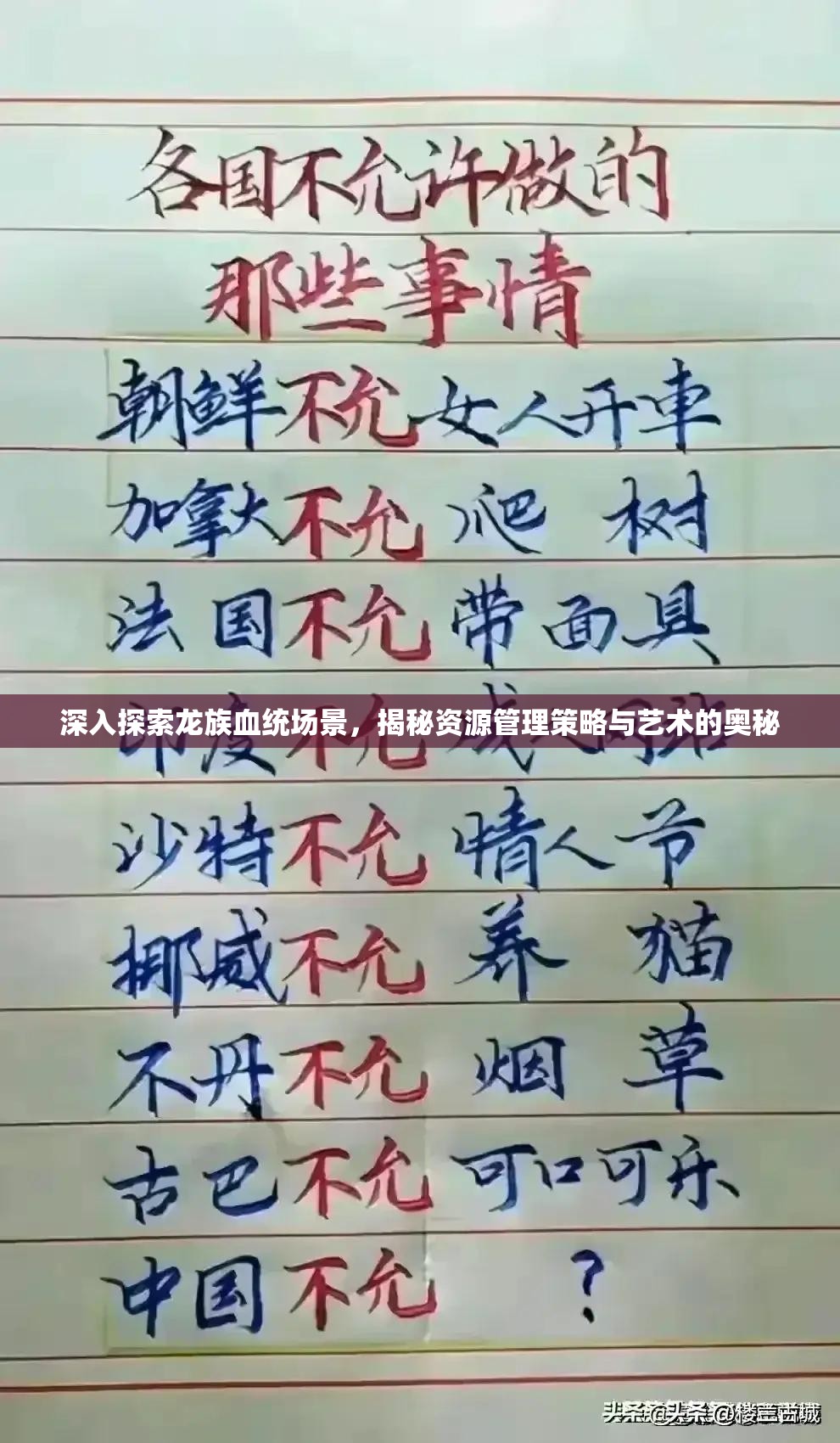 深入探索龙族血统场景，揭秘资源管理策略与艺术的奥秘