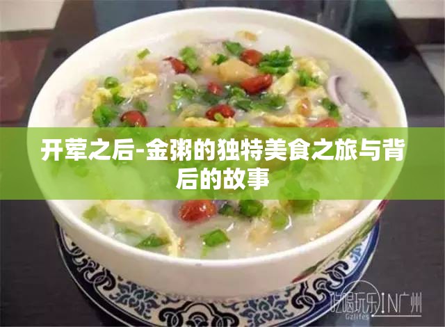 开荤之后-金粥的独特美食之旅与背后的故事