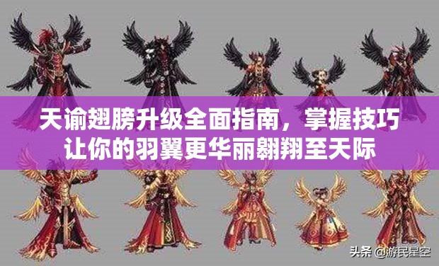 天谕翅膀升级全面指南，掌握技巧让你的羽翼更华丽翱翔至天际