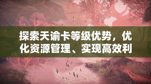 探索天谕卡等级优势，优化资源管理、实现高效利用与最大化价值策略