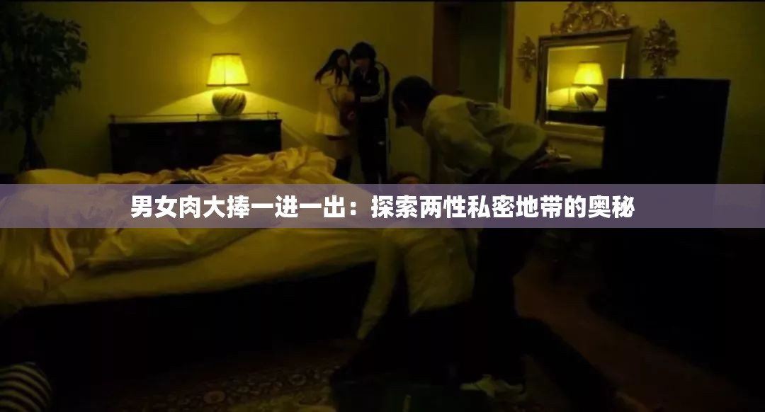 男女肉大捧一进一出：探索两性私密地带的奥秘