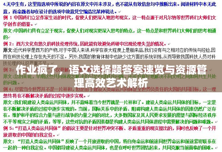 作业疯了，语文选择题答案速览与资源管理高效艺术解析