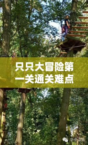 只只大冒险第一关通关难点解析与资源管理重要性攻略指南