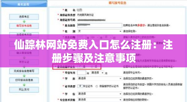仙踪林网站免费入口怎么注册：注册步骤及注意事项