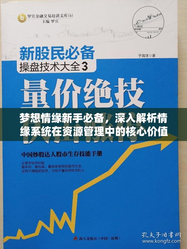 梦想情缘新手必备，深入解析情缘系统在资源管理中的核心价值与高效运用策略