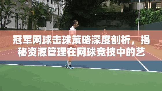 冠军网球击球策略深度剖析，揭秘资源管理在网球竞技中的艺术运用