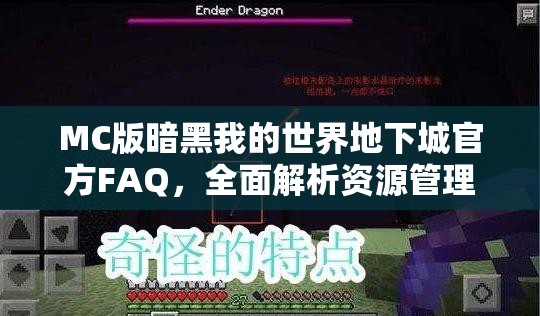 MC版暗黑我的世界地下城官方FAQ，全面解析资源管理、高效利用策略及防浪费指南