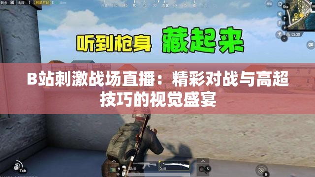 B站刺激战场直播：精彩对战与高超技巧的视觉盛宴