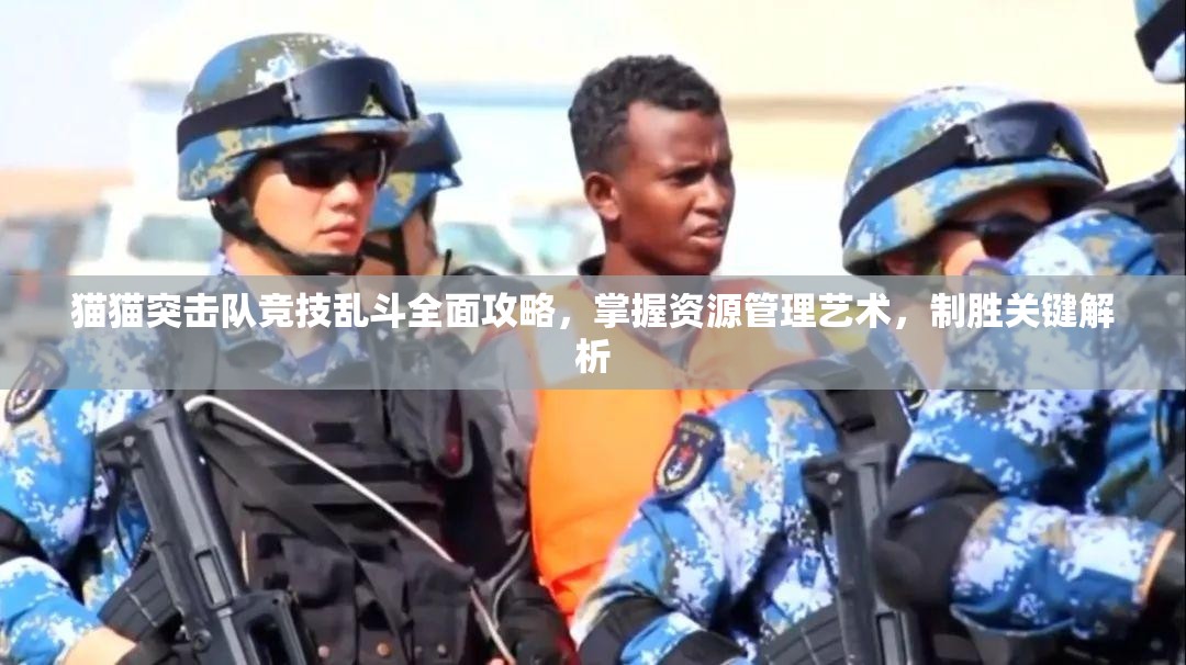 猫猫突击队竞技乱斗全面攻略，掌握资源管理艺术，制胜关键解析