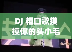 DJ 粗口歌摸摸你的头小毛驴：一首充满争议的歌曲