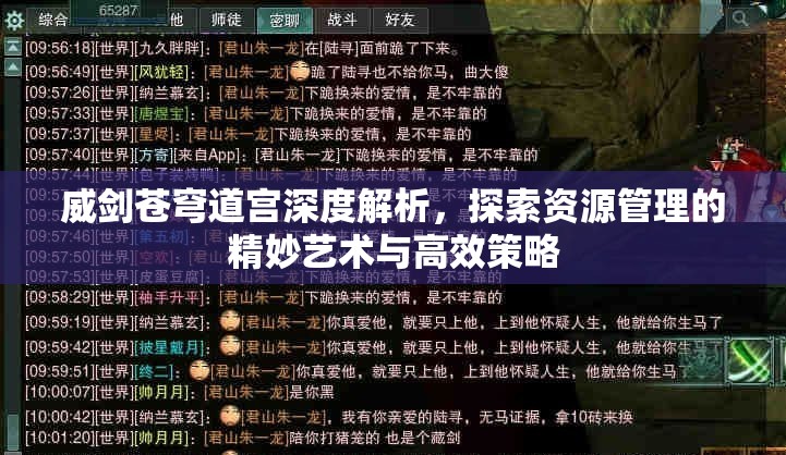 威剑苍穹道宫深度解析，探索资源管理的精妙艺术与高效策略