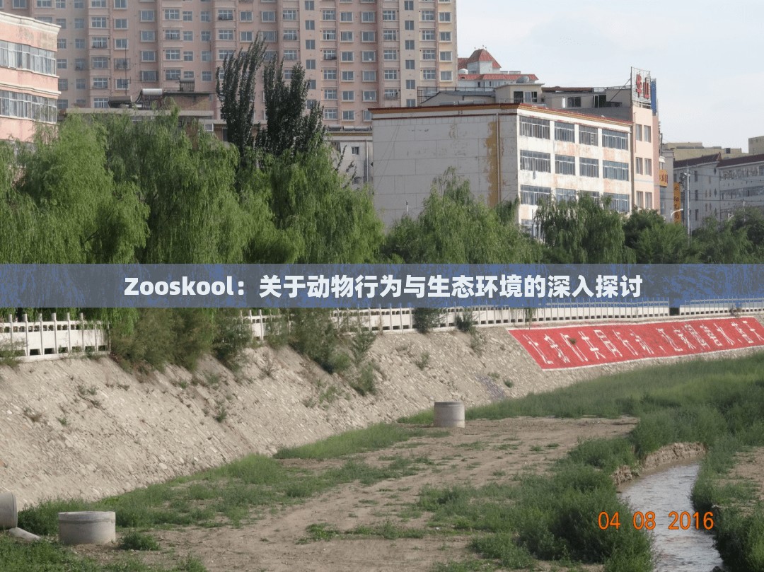 Zooskool：关于动物行为与生态环境的深入探讨