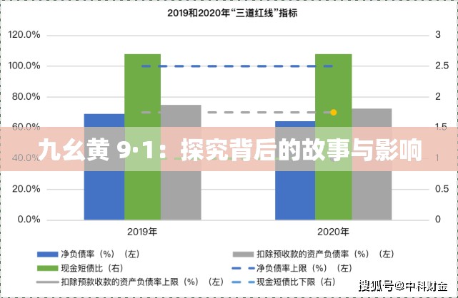 九幺黄 9·1：探究背后的故事与影响