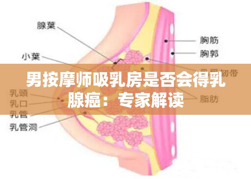 男按摩师吸乳房是否会得乳腺癌：专家解读
