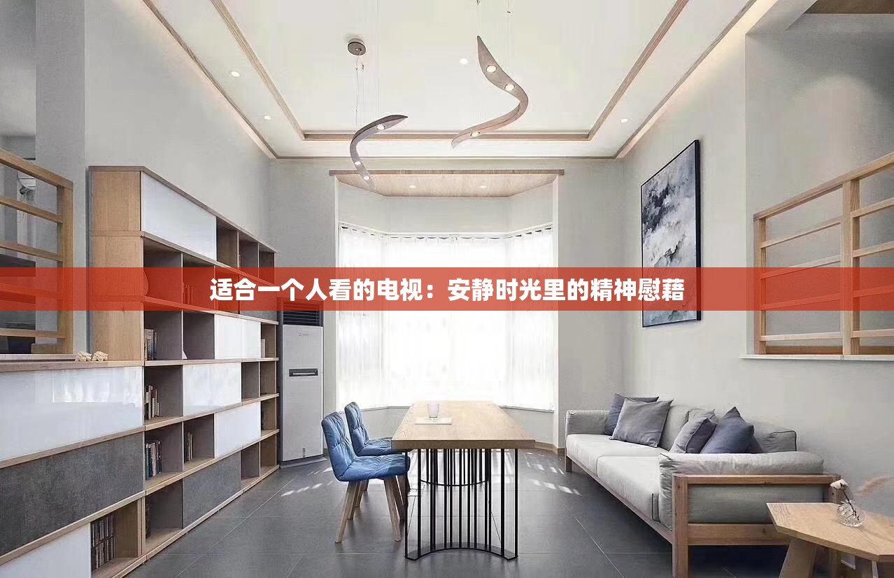 适合一个人看的电视：安静时光里的精神慰藉