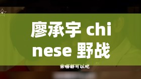 廖承宇 chinese 野战做受相关事件引发热议