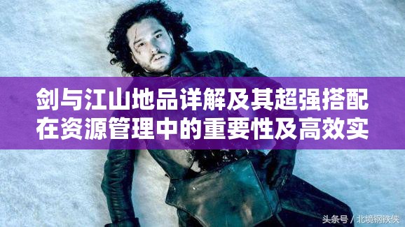 剑与江山地品详解及其超强搭配在资源管理中的重要性及高效实战利用策略