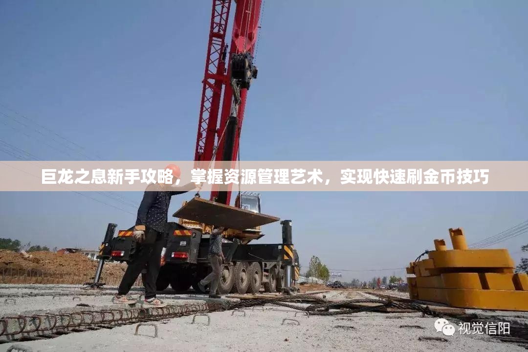 巨龙之息新手攻略，掌握资源管理艺术，实现快速刷金币技巧