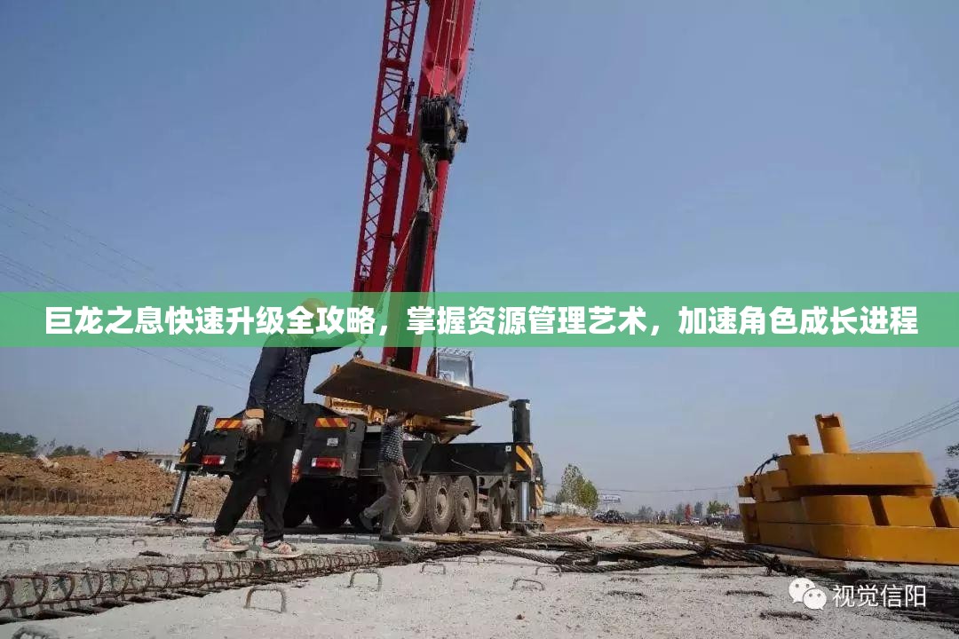 巨龙之息快速升级全攻略，掌握资源管理艺术，加速角色成长进程