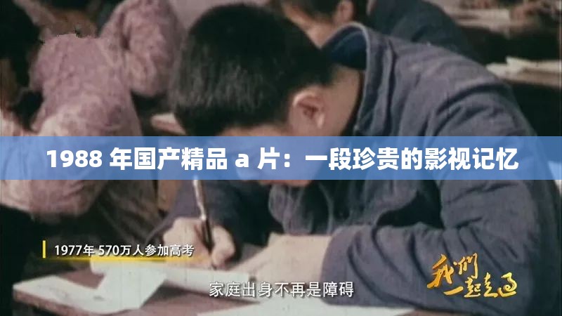 1988 年国产精品 a 片：一段珍贵的影视记忆