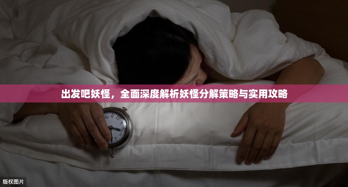 出发吧妖怪，全面深度解析妖怪分解策略与实用攻略