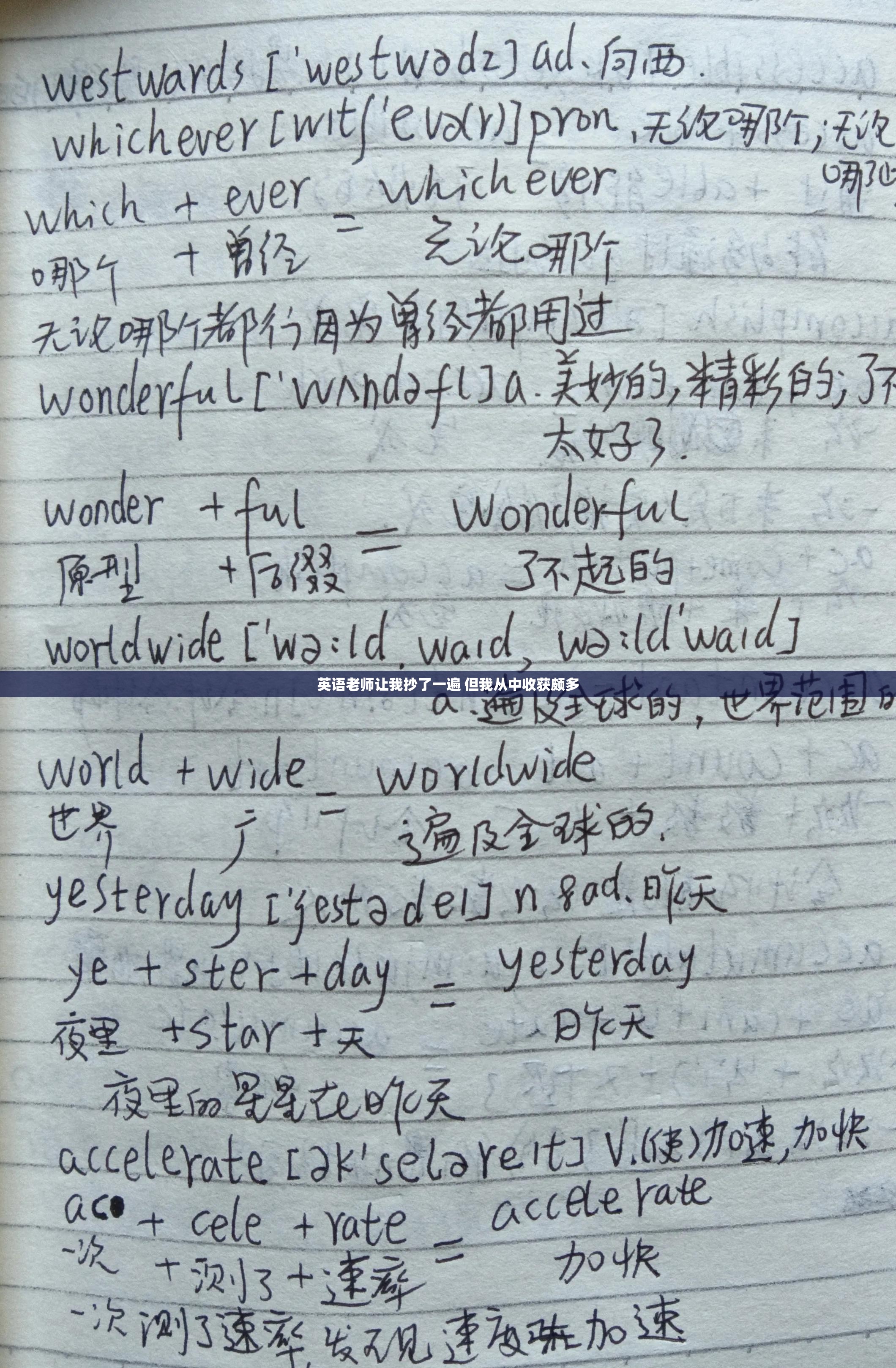 英语老师让我抄了一遍 但我从中收获颇多