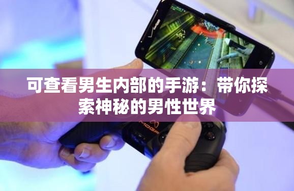 可查看男生内部的手游：带你探索神秘的男性世界