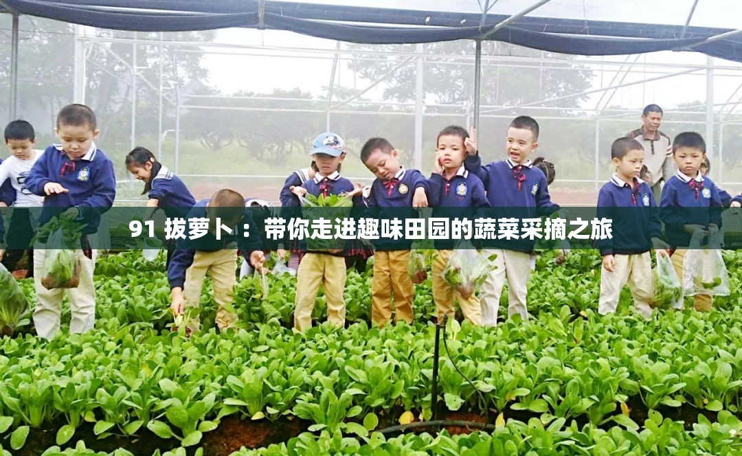 91 拔萝卜 ：带你走进趣味田园的蔬菜采摘之旅
