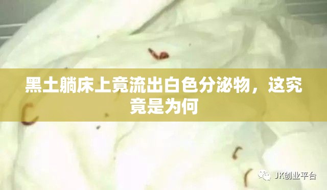 黑土躺床上竟流出白色分泌物，这究竟是为何