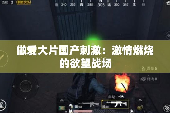 做爱大片国产刺激：激情燃烧的欲望战场