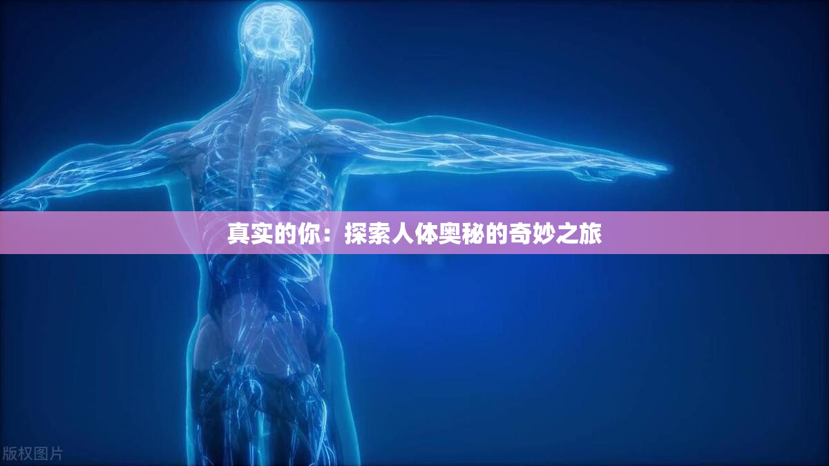 真实的你：探索人体奥秘的奇妙之旅