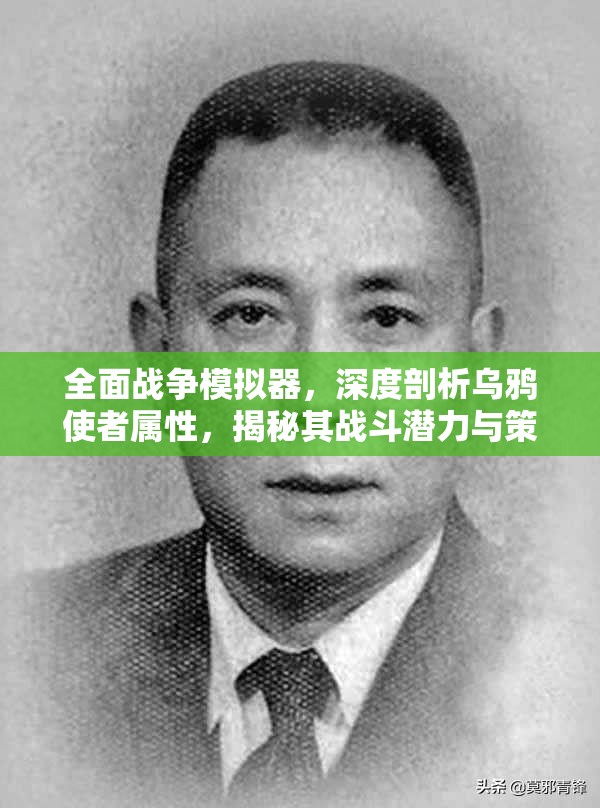 全面战争模拟器，深度剖析乌鸦使者属性，揭秘其战斗潜力与策略价值