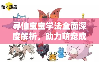 寻仙宝宝学法全面深度解析，助力萌宠成长开启全新进化篇章