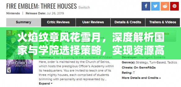 火焰纹章风花雪月，深度解析国家与学院选择策略，实现资源高效管理与价值最大化