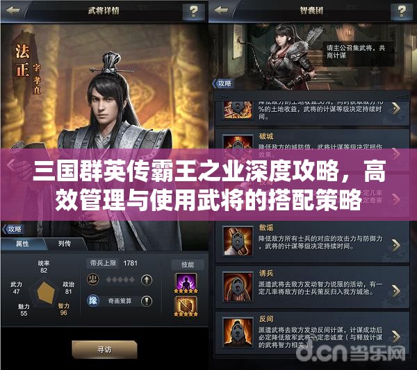 三国群英传霸王之业深度攻略，高效管理与使用武将的搭配策略