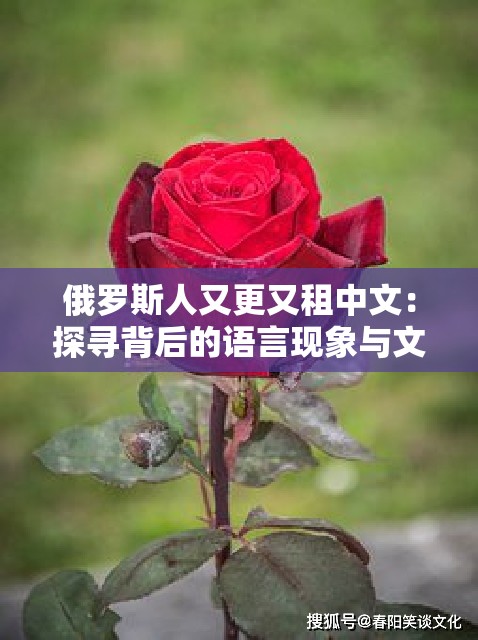 俄罗斯人又更又租中文：探寻背后的语言现象与文化内涵