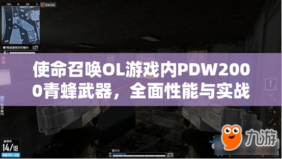 使命召唤OL游戏内PDW2000青蜂武器，全面性能与实战深度评测解析