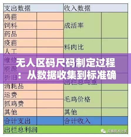 无人区码尺码制定过程：从数据收集到标准确定