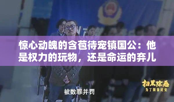 惊心动魄的含苞待宠镇国公：他是权力的玩物，还是命运的弃儿
