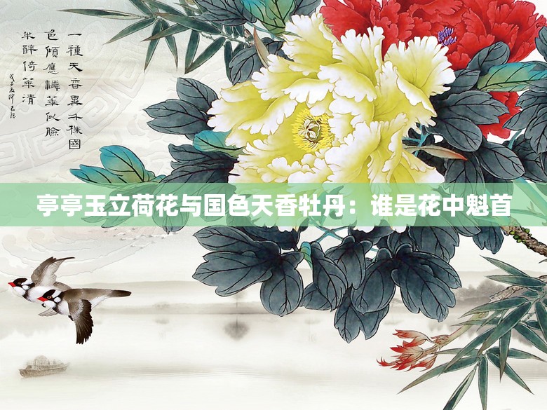 亭亭玉立荷花与国色天香牡丹：谁是花中魁首