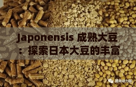 Japonensis 成熟大豆：探索日本大豆的丰富文化和营养价值