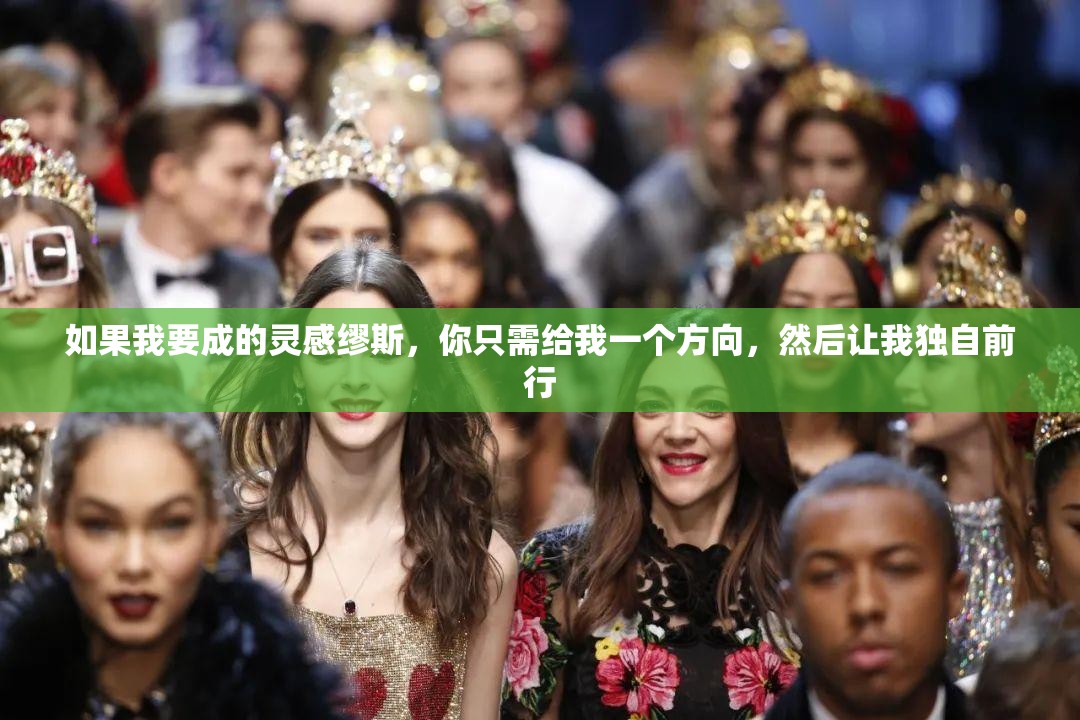 如果我要成的灵感缪斯，你只需给我一个方向，然后让我独自前行