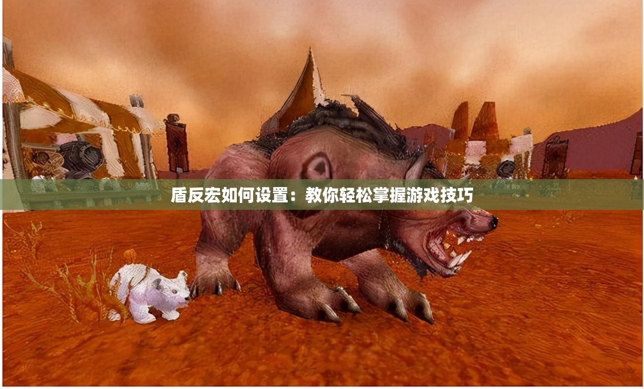 盾反宏如何设置：教你轻松掌握游戏技巧