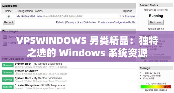 VPSWINDOWS 另类精品：独特之选的 Windows 系统资源