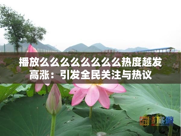 播放么么么么么么么么热度越发高涨：引发全民关注与热议