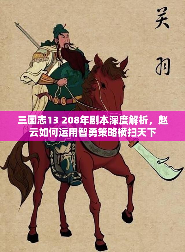 三国志13 208年剧本深度解析，赵云如何运用智勇策略横扫天下