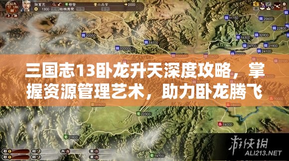 三国志13卧龙升天深度攻略，掌握资源管理艺术，助力卧龙腾飞之路